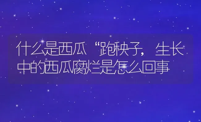 牛角瓜是水果还是蔬菜,谁能说出10个带瓜字蔬菜或水果？ | 养殖常见问题