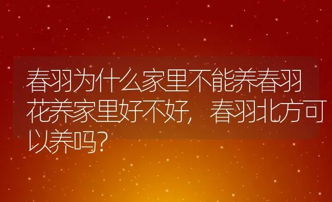 春羽为什么家里不能养春羽花养家里好不好,春羽北方可以养吗？ | 养殖常见问题