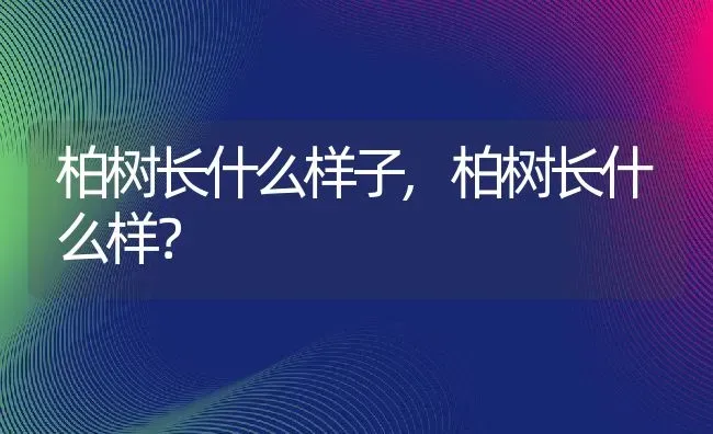 柏树长什么样子,柏树长什么样？ | 养殖常见问题