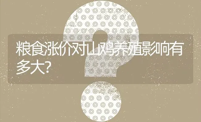粮食涨价对山鸡养殖影响有多大? | 养殖问题解答