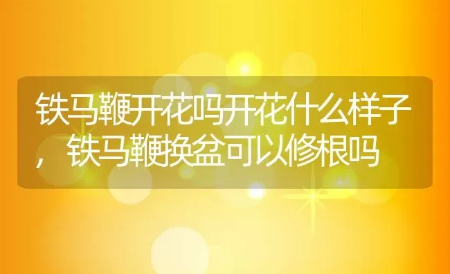 铁马鞭开花吗开花什么样子,铁马鞭换盆可以修根吗 | 养殖常见问题