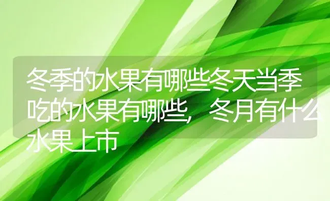 冬季的水果有哪些冬天当季吃的水果有哪些,冬月有什么水果上市 | 养殖常见问题