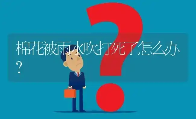 葡萄药害如何处理? | 养殖问题解答