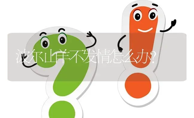 波尔山羊不发情怎么办? | 养殖问题解答