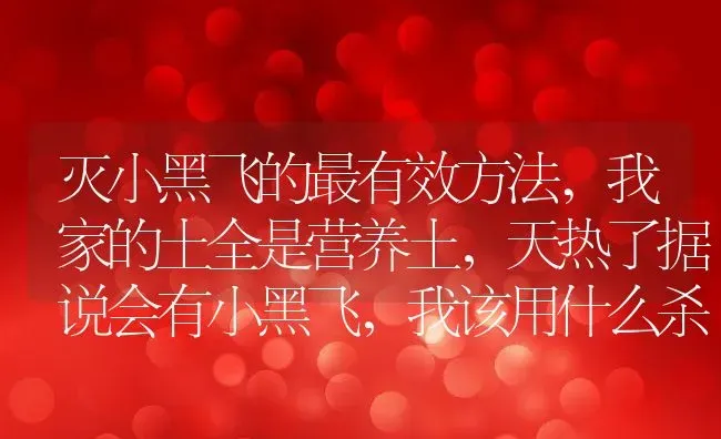 灭小黑飞的最有效方法,我家的土全是营养土，天热了据说会有小黑飞，我该用什么杀虫剂杀小黑飞啊？ | 养殖常见问题