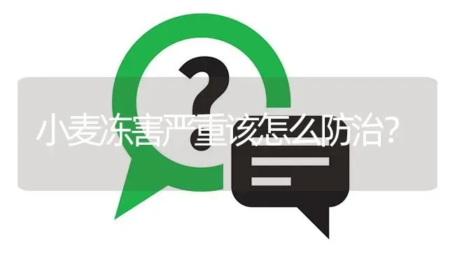 小麦冻害严重该怎么防治? | 养殖问题解答