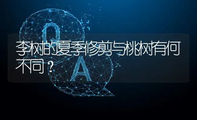 李树的夏季修剪与桃树有何不同? | 养殖问题解答