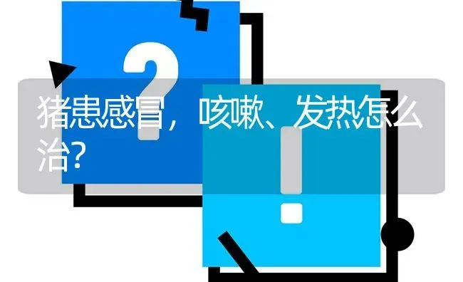 猪患感冒,咳嗽、发热怎么治? | 养殖问题解答