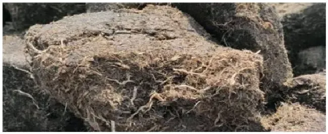 花肥有哪些种类和作用 | 三农问答