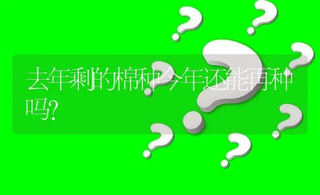 去年剩的棉种今年还能再种吗? | 养殖问题解答