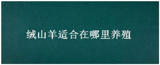 绒山羊适合在哪里养殖 | 三农答疑