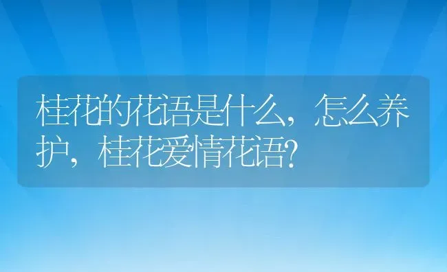 桂花的花语是什么，怎么养护,桂花爱情花语？ | 养殖常见问题