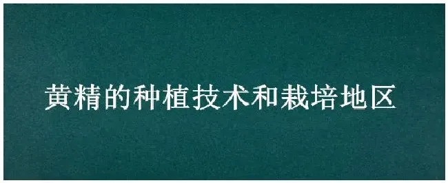 黄精的种植技术和栽培地区 | 农业答疑