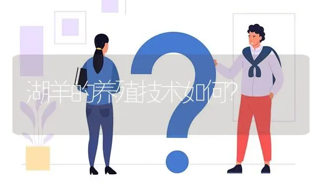 湖羊的养殖技术如何? | 养殖问题解答