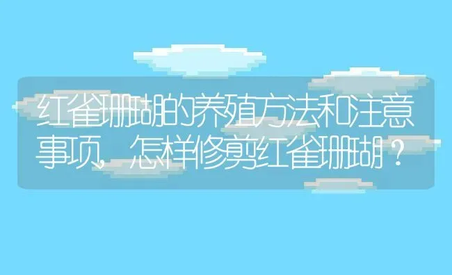 红雀珊瑚的养殖方法和注意事项,怎样修剪红雀珊瑚？ | 养殖常见问题