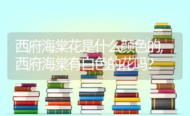 西府海棠花是什么颜色的,西府海棠有白色的花吗？ | 养殖常见问题