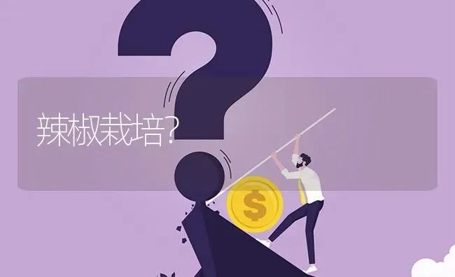 辣椒栽培? | 养殖问题解答