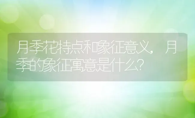 月季花特点和象征意义,月季的象征寓意是什么？ | 养殖常见问题