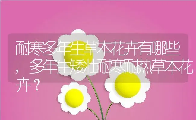 耐寒多年生草本花卉有哪些,多年生矮壮耐寒耐热草本花卉？ | 养殖常见问题