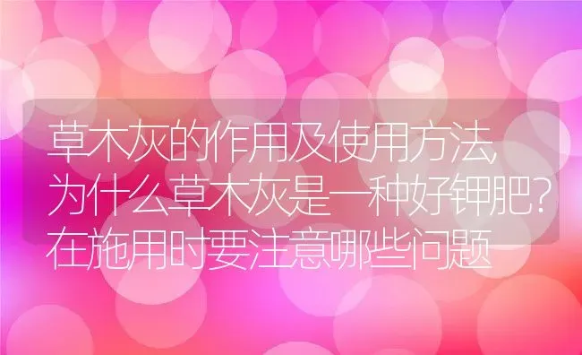 草木灰的作用及使用方法,为什么草木灰是一种好钾肥？在施用时要注意哪些问题 | 养殖常见问题