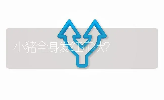 小猪全身发红症状? | 养殖问题解答