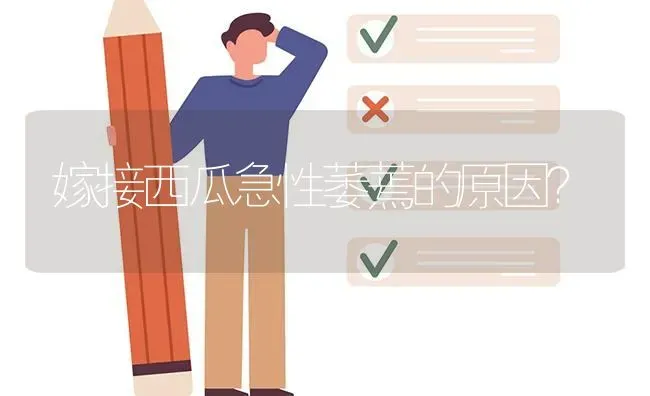 嫁接西瓜急性萎蔫的原因? | 养殖问题解答