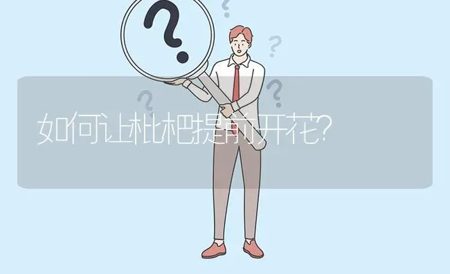 如何让枇杷提前开花? | 养殖问题解答