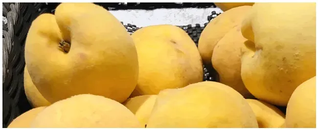锦绣黄桃多少钱一斤 | 科普知识