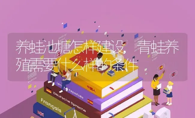 养蛙池塘怎样建设,青蛙养殖需要什么样的条件 | 养殖常见问题