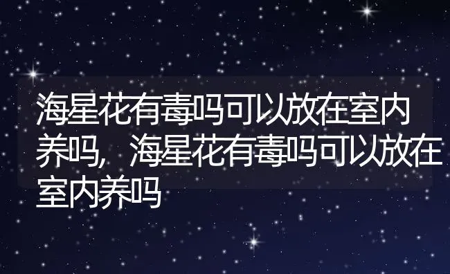 海星花有毒吗可以放在室内养吗,海星花有毒吗可以放在室内养吗 | 养殖常见问题