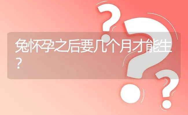 兔怀孕之后要几个月才能生? | 养殖问题解答