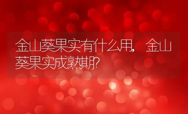 金山葵果实有什么用,金山葵果实成熟期？ | 养殖常见问题