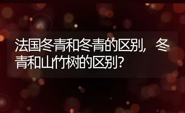 法国冬青和冬青的区别,冬青和山竹树的区别？ | 养殖常见问题