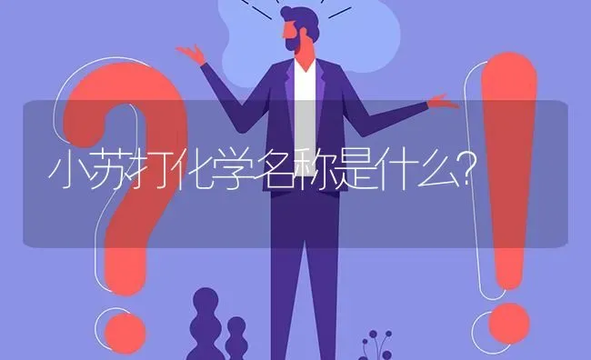 小苏打化学名称是什么? | 养殖问题解答