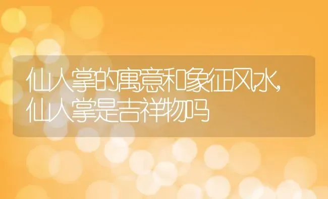 仙人掌的寓意和象征风水,仙人掌是吉祥物吗 | 养殖常见问题