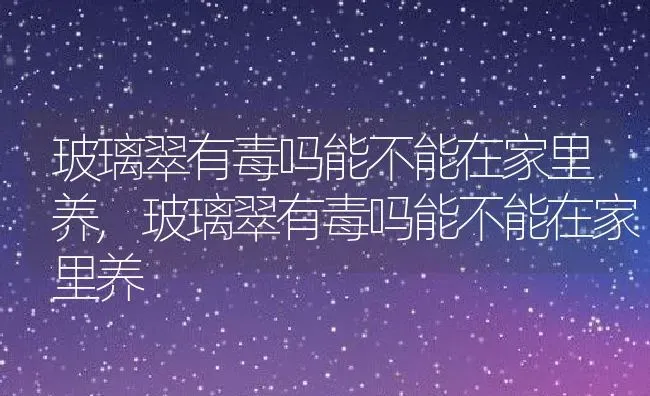 玻璃翠有毒吗能不能在家里养,玻璃翠有毒吗能不能在家里养 | 养殖常见问题