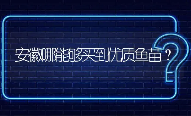 安徽哪能够买到优质鱼苗? | 养殖问题解答