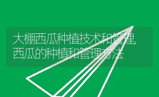 大棚西瓜种植技术和管理,西瓜的种植和管理方法 | 养殖常见问题