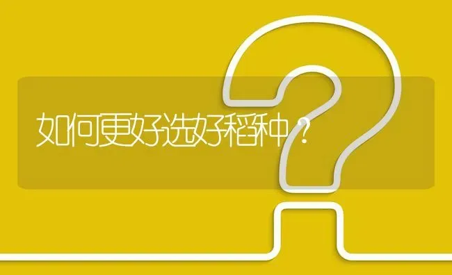 如何更好选好稻种? | 养殖问题解答