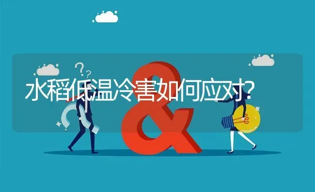 水稻低温冷害如何应对? | 养殖问题解答