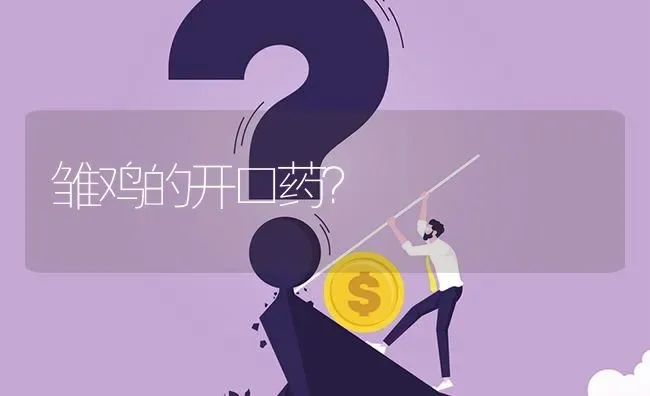 雏鸡的开口药? | 养殖问题解答