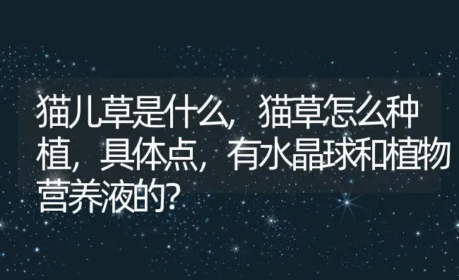 猫儿草是什么,猫草怎么种植，具体点，有水晶球和植物营养液的？ | 养殖常见问题