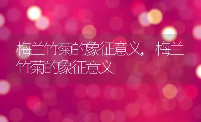 梅兰竹菊的象征意义,梅兰竹菊的象征意义 | 养殖常见问题
