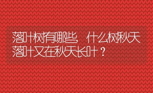 落叶树有哪些,什么树秋天落叶又在秋天长叶？ | 养殖常见问题