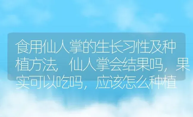 食用仙人掌的生长习性及种植方法,仙人掌会结果吗，果实可以吃吗，应该怎么种植 | 养殖常见问题