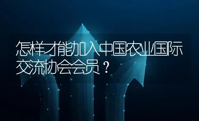 怎样才能加入中国农业国际交流协会会员? | 养殖问题解答