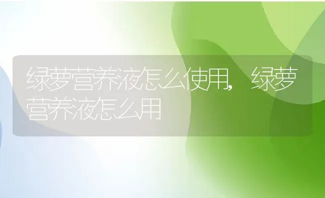 绿萝营养液怎么使用,绿萝营养液怎么用 | 养殖常见问题