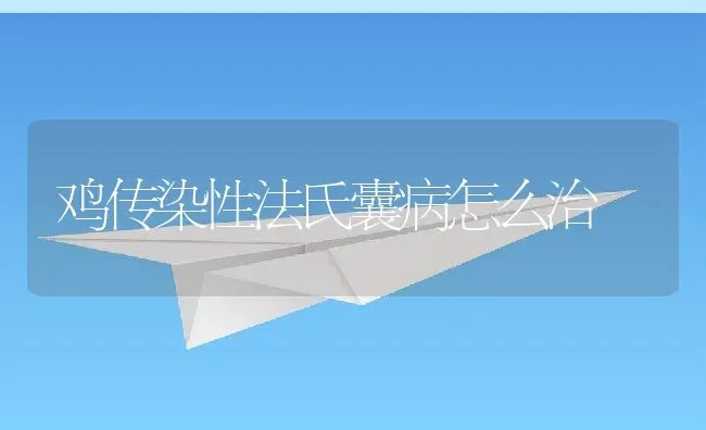 鸡传染性法氏囊病怎么治 | 养殖常见问题