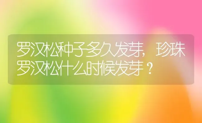 罗汉松种子多久发芽,珍珠罗汉松什么时候发芽？ | 养殖常见问题