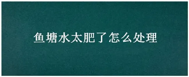 鱼塘水太肥了怎么处理 | 农业答疑